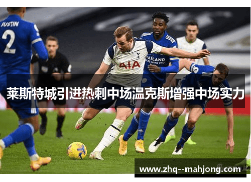 莱斯特城引进热刺中场温克斯增强中场实力