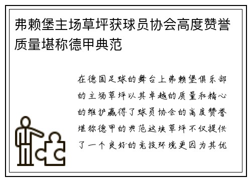 弗赖堡主场草坪获球员协会高度赞誉质量堪称德甲典范 弗赖堡主场草坪获球员协会高度赞誉质量堪称德甲典范